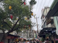 -溪岸路花鸟市场