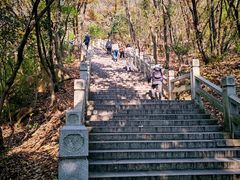 -灵岩山风景区