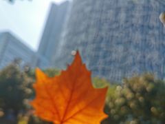 -安徽广播电视台