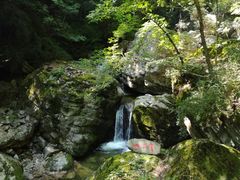-牛背梁国家森林公园