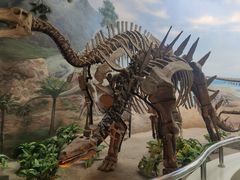 -延庆地质公园博物馆