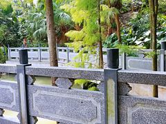 景点-阳台山森林公园