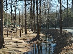 -白水寺森林公园