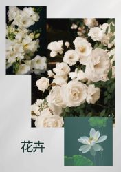 -琥珀婚礼策划AMBER WEDDING