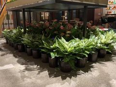 -上海前滩香格里拉大酒店