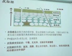 点击看大图 -玛莲朵·海菲秀冰珀科