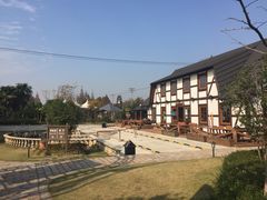 -金山农民画村-枫泾波兰倒置屋