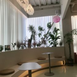 -韩芙莱芳疗spa健康管理