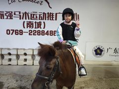 -李振强马术运动推广中心(南城店)