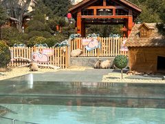 -郑州银基黄帝宫御温泉