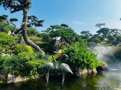 -罗红摄影艺术馆