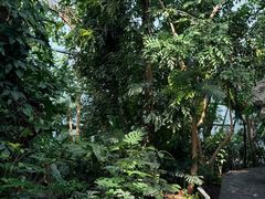 -北京植物园-展览温室
