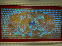 -上海昆虫博物馆