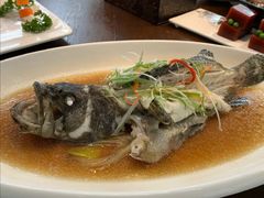 清蒸石斑鱼-陶家堡·多意食餐饮(益健路店)