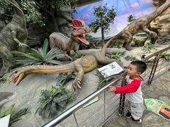 -国家自然博物馆