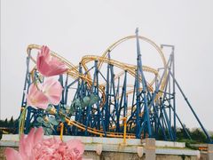 景点-大连海昌发现王国主题公园