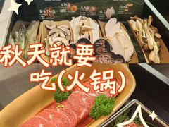 -芸山季·云南野生菌火锅(人民广场来福士店)