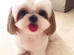 -忆品青莲素食文化主题餐厅(文华名城店)