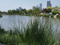 -丁家河公园