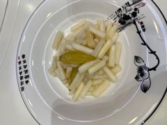 -丁老爷子苏香圆