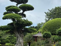 -南宁南湖公园