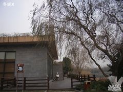 -昆山城市生态森林公园