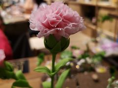 -手工艺活态馆