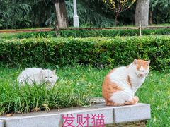 -莲湖公园