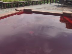 -天目湖涵田半山温泉水乐园