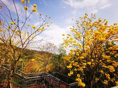 -碧桂园十里银滩