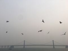 -星海广场