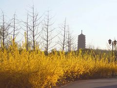 -永定河休闲森林公园