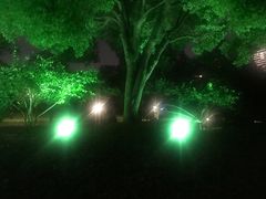 -武汉知音号
