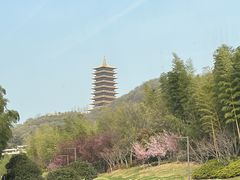 -牛首山文化旅游区
