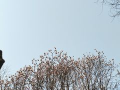 -月坛公园