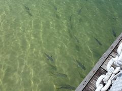 -巴拉湾海滩