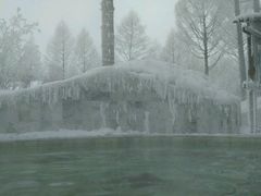 -桃山森林冰雪玉温泉