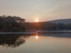 -清迈夜间动物园