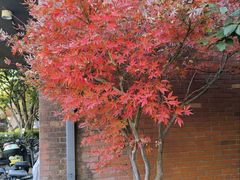 -浙江大学(玉泉校区)