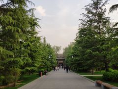 -迎泽公园