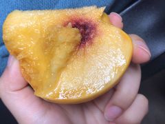 -梅园食堂