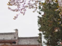 -西安青龙寺遗址景区