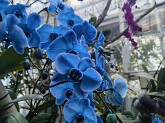 -北京植物园-展览温室