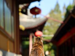 -龙华寺