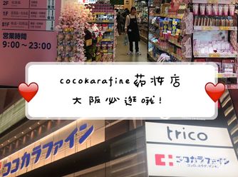日本美白保健品必买清单