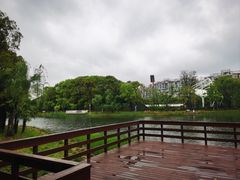 -新江湾城公园