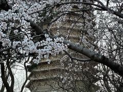-玲珑塔公园