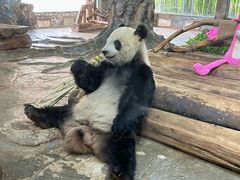 -海南热带野生动植物园