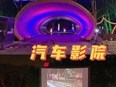 -枫花园汽车电影院(朝阳公园店)