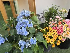 -西安电影制片厂